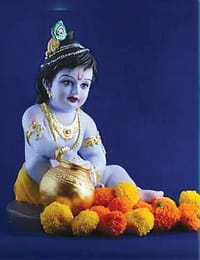 lord srikrishna