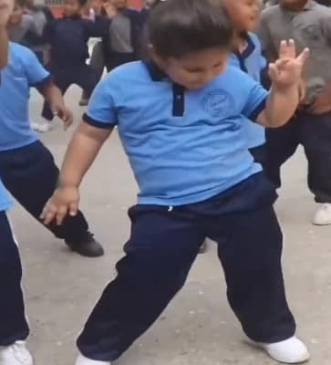 పుష్పసాంగ్ కు చిన్నారి డ్యాన్స్ .. కలవాలని ఉందంటూ నటి రష్మిక మందన్న రిక్వెస్ట్..!