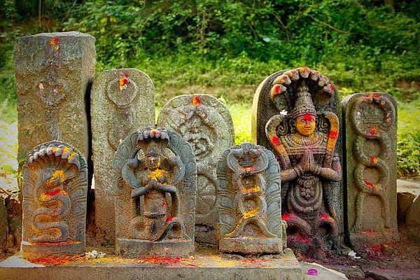 నాగుల చవితి విశిష్టత..!!