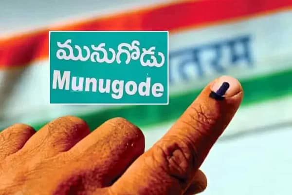 మునుగోడు ఎగ్జిట్ పోల్ సర్వే..  గెలిచేది  ఆపార్టీనే..