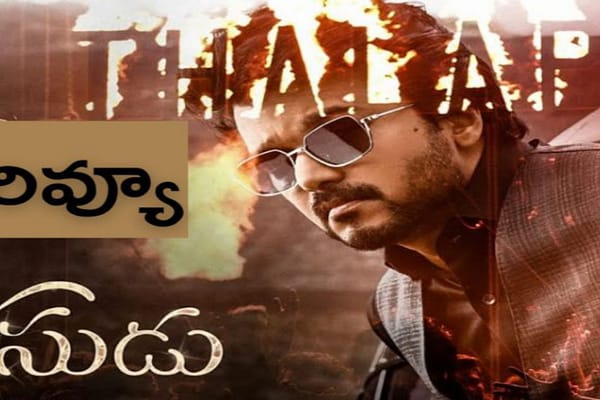 రొటీన్ ఫ్యామిలీ డ్రామా ..’ వారసుడు’ రివ్యూ..