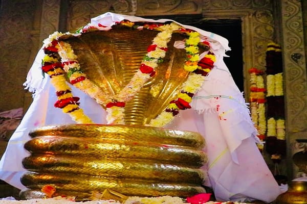 నాగోబా జాతర విశిష్టత.. పురాణా గాథ..