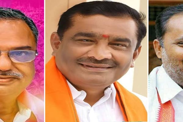 టగ్ ఆఫ్ వార్ లో పెద్దపల్లి పెద్దన్న ఎవరు?