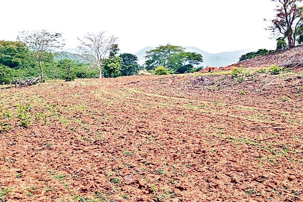 Nalgonda: ఉమ్మడి నల్గొండ జిల్లాలో తహశీల్దార్ల ‘ భూ’ లీలలు..