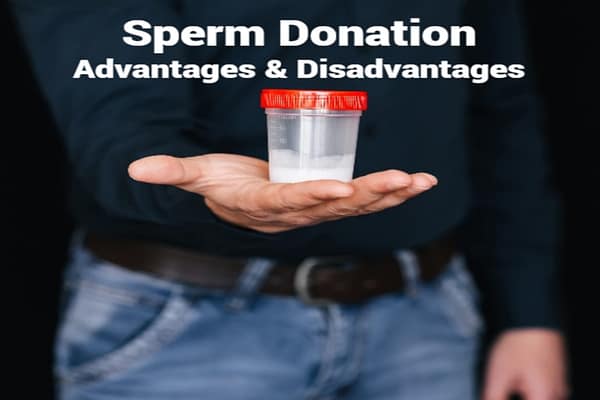 spremdonar: ‘వీర్యదానం’  కొన్ని అపోహలు – కొన్ని నిజాలు ..!