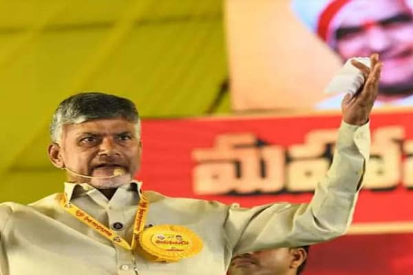 Chandrababu: ఏ నమూనాతో బాబు ఏలుతారో..?