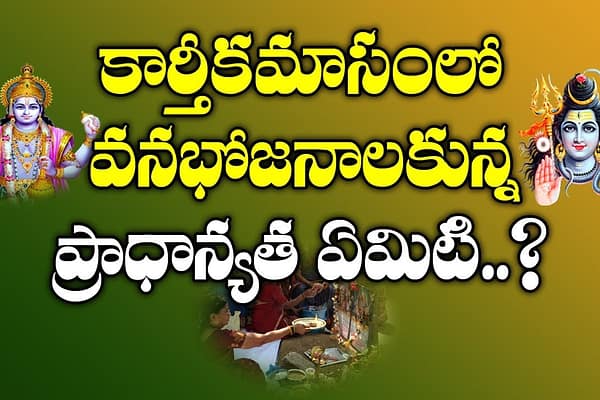 Karthikamasam: కార్తీకమాసంలో ఉసిరిచెట్టు కింద వనభోజనాలు ఎందుకు చేస్తారో తెలుసా..?
