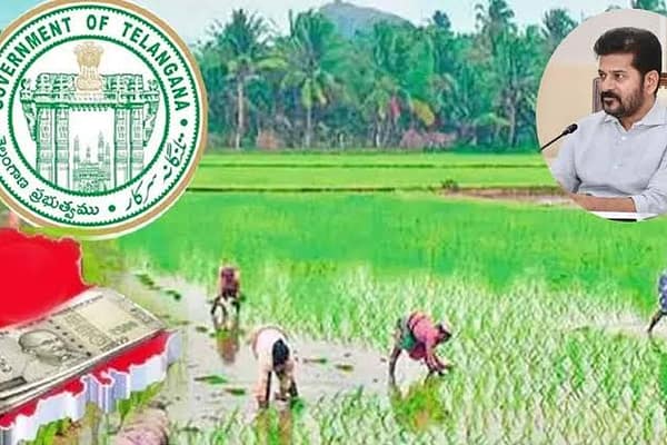 Telangana: రైతులకు భరోసా కల్పిస్తున్న వ్యవ‘సాయం’..