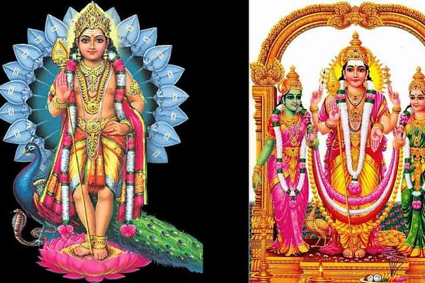 kumarswamy: సుబ్రహ్మణ్యస్వామి పుట్టుకకు కారణం..?