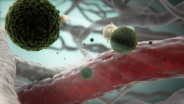 dengue